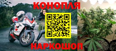 трава Будённовск