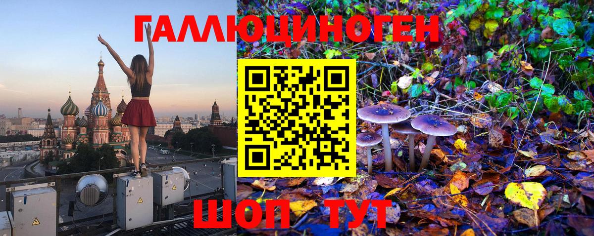 Псилоцибиновые грибы Magic Shrooms Миллерово