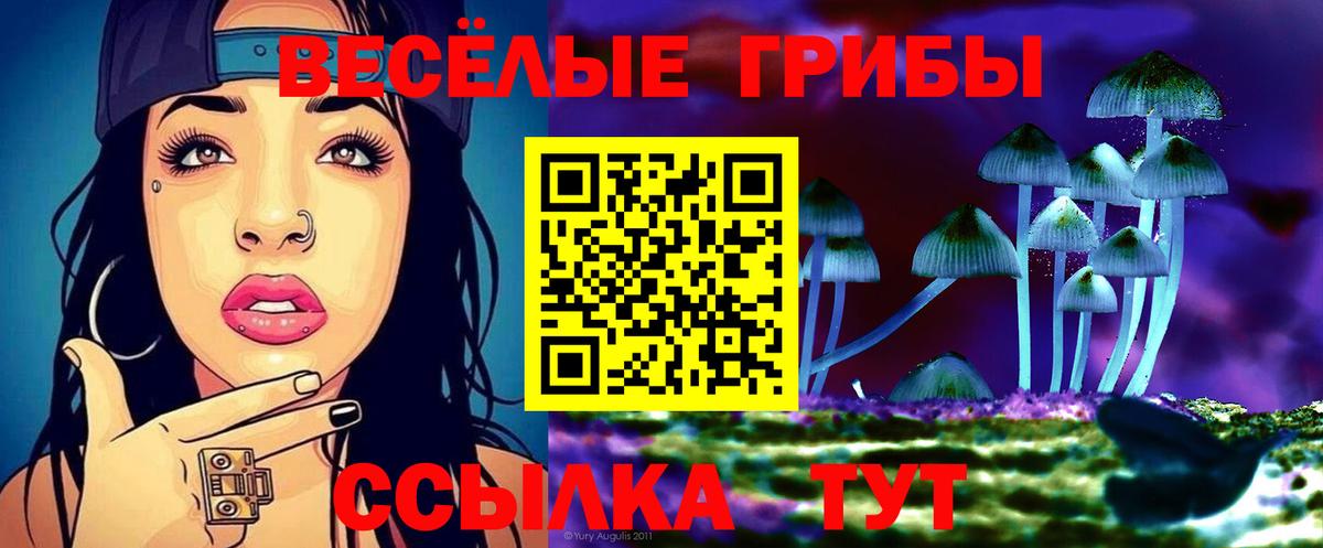 закладка  Галлюциногенные грибы GOLDEN TEACHER  Вход с VPN  Миллерово 
